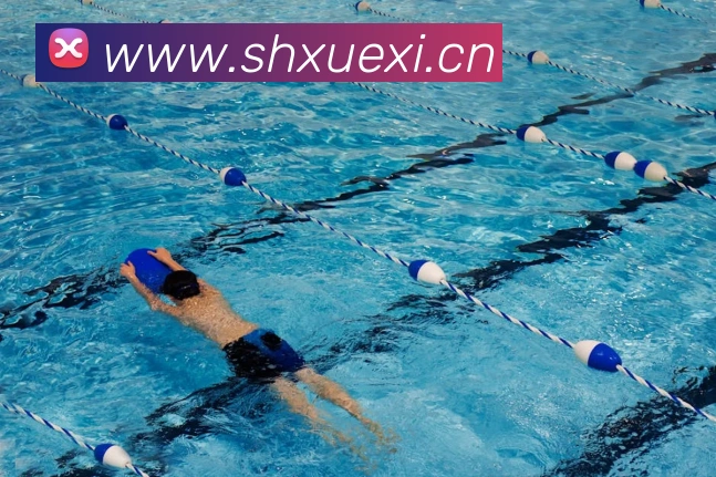 米乐yy易游官网平台生态图