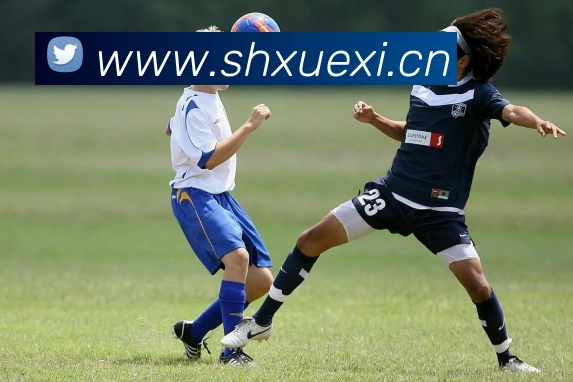 米乐yy易游官网APP 封面图